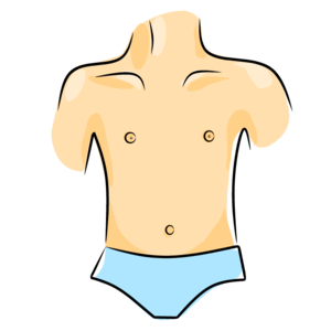 body