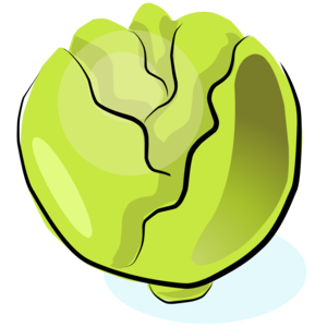cabbage