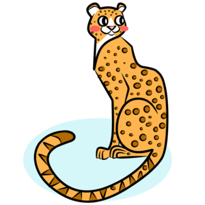 cheetah