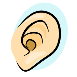 ear