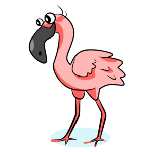 flamingo