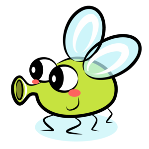fly