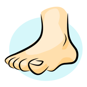 foot