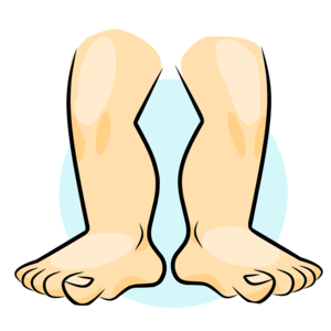 legs