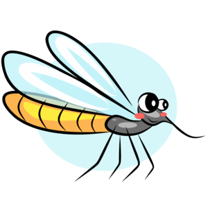 mosquito