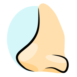 nose