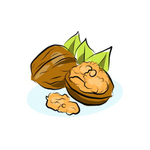 nuts