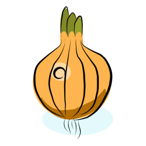 onion