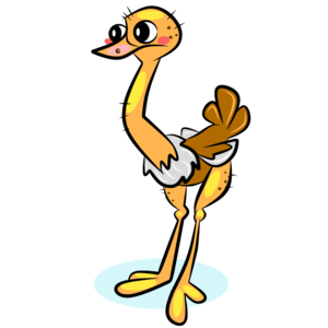 ostrich