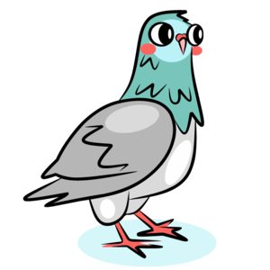pigeon