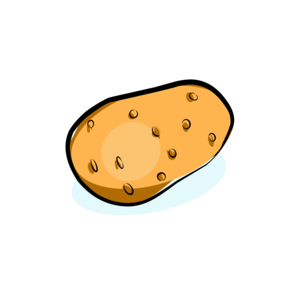 potato
