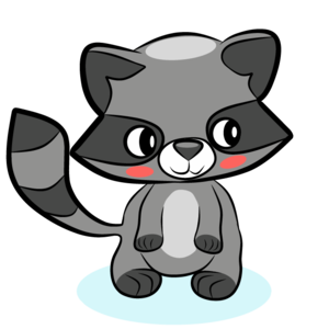 raccoon