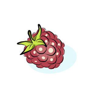raspberry