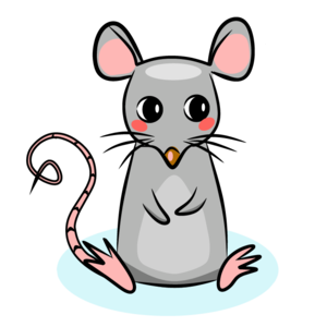 rat