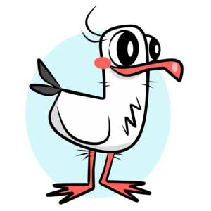 seagull