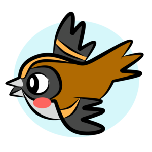 sparrow