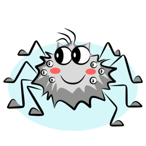spider