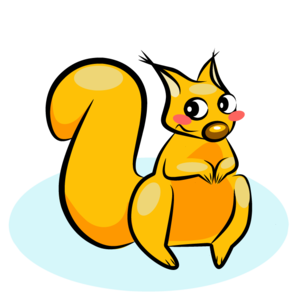 squirrel