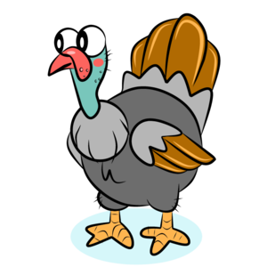 turkey