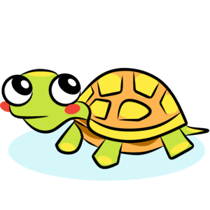 turtle