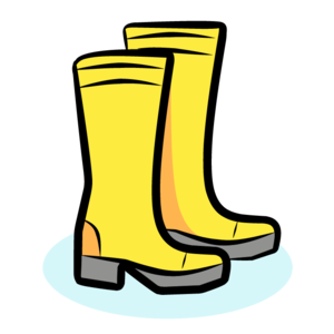 wellingtons